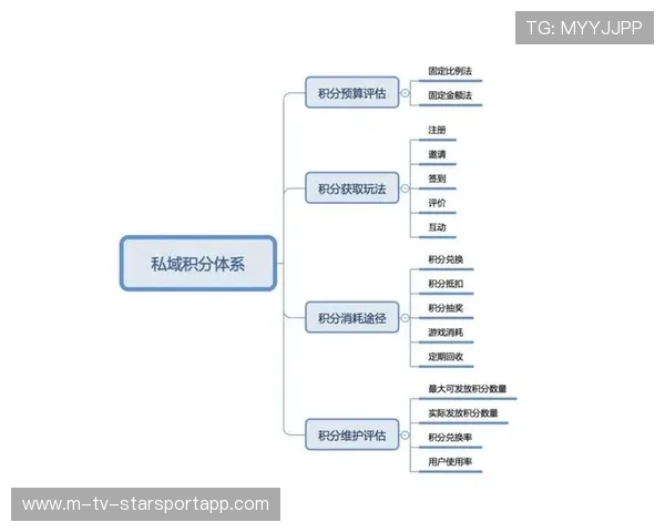 体育产业中通过会员积分体系提升死忠粉丝粘性路径（292 ）