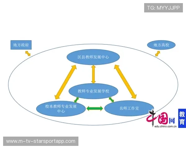 协作提升形成体系优势（242 ）